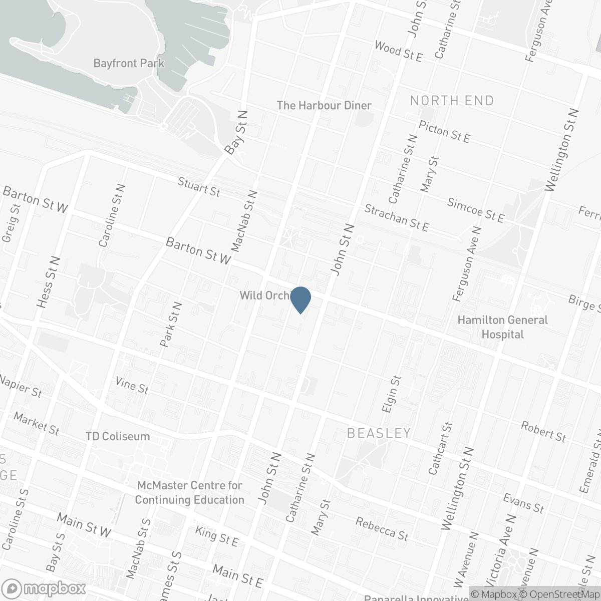 244 HUGHSON STREET N, Hamilton, Ontario L8L 4M3